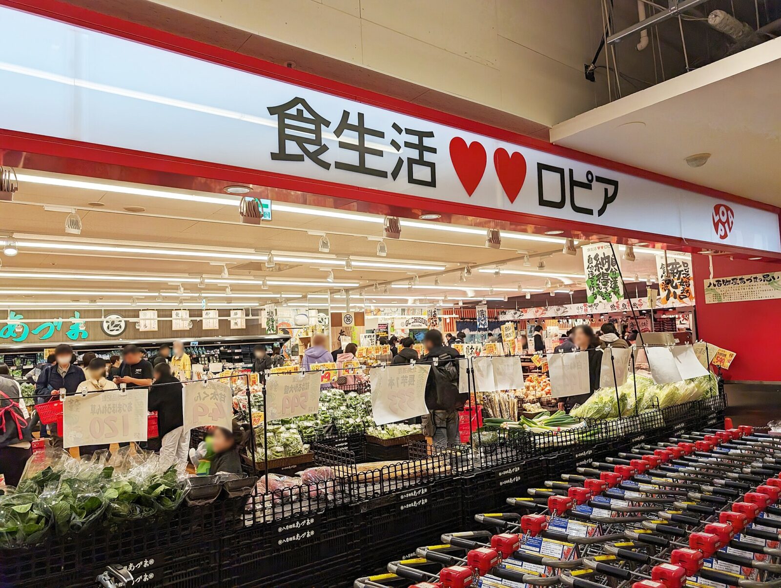 Entrance of LOPIA grocery store in Japan with carts lined up and shoppers browsing inside.