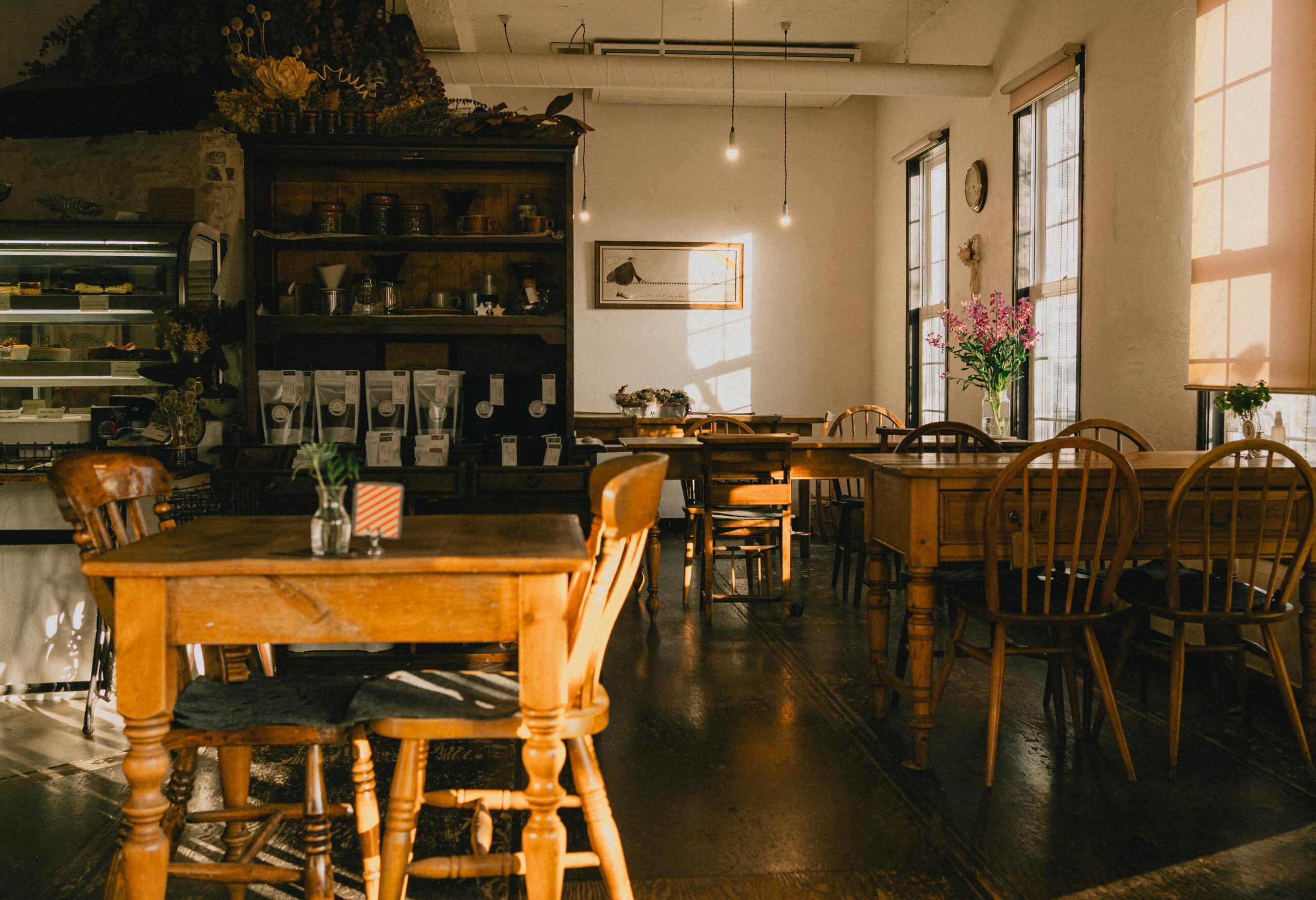 What Is a “Day Service” in Japan?