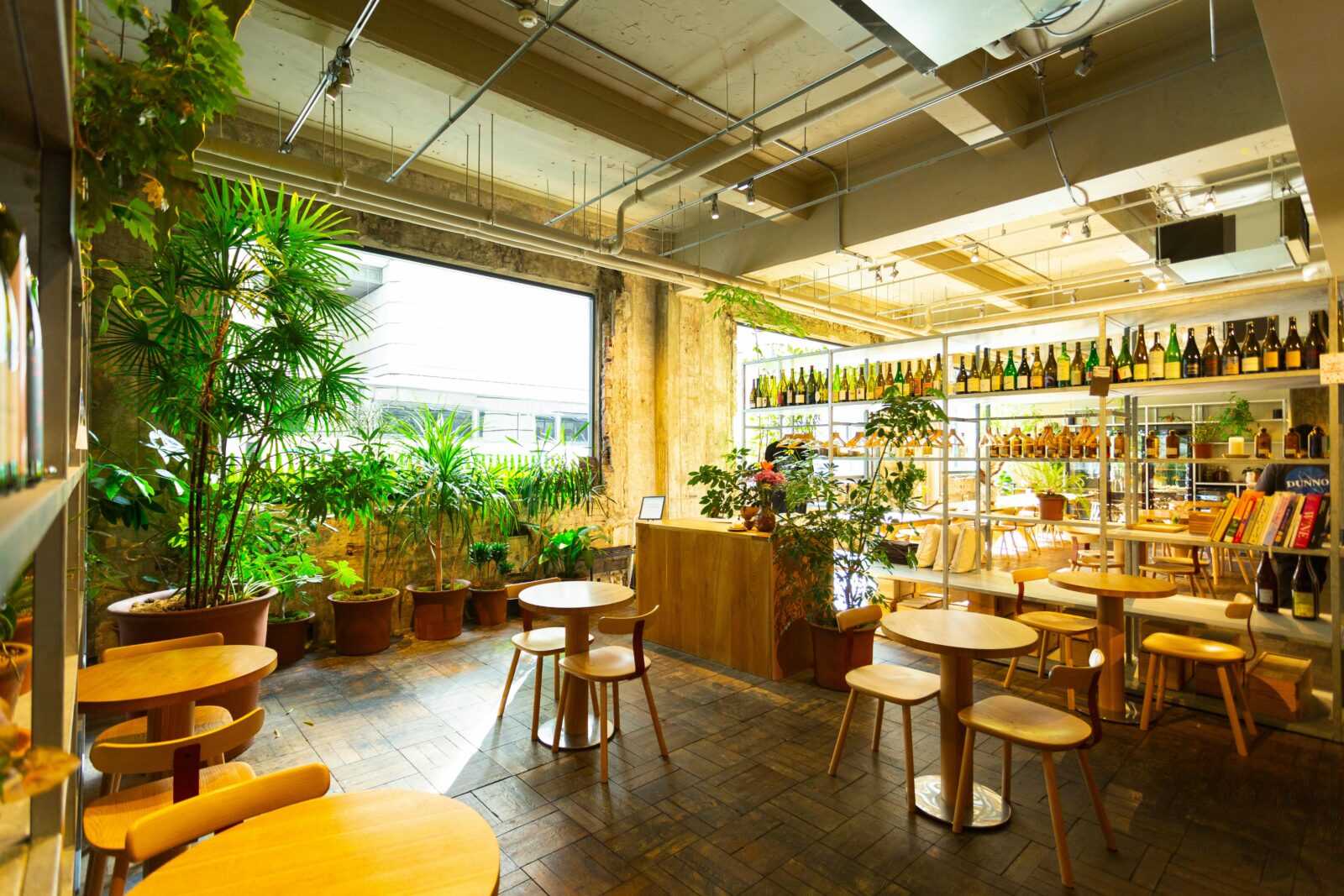 A bright, plant-filled café with modern wooden furniture and natural light, creating a calm and relaxing atmosphere similar to a day service center.