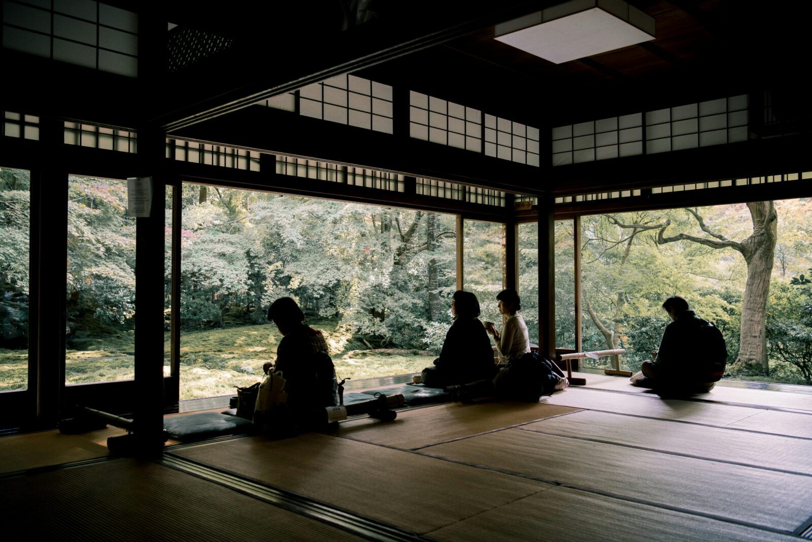 People sit on tatami mats inside a traditional Japanese tea room, gazing at the serene garden outside.