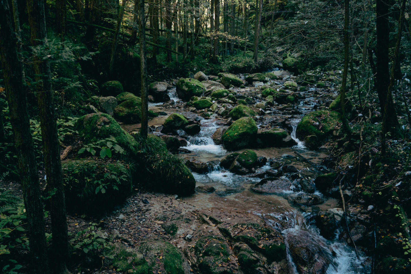 image of stream