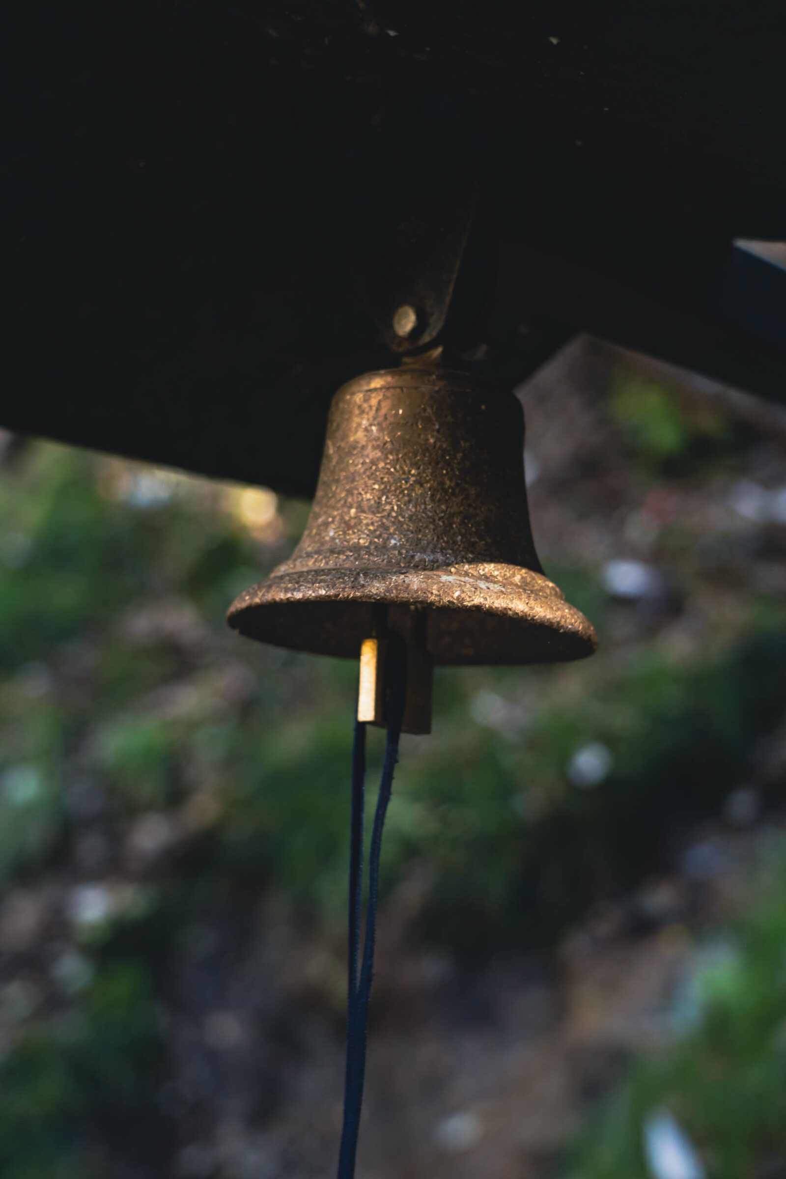 bell to be wrung to deter bear