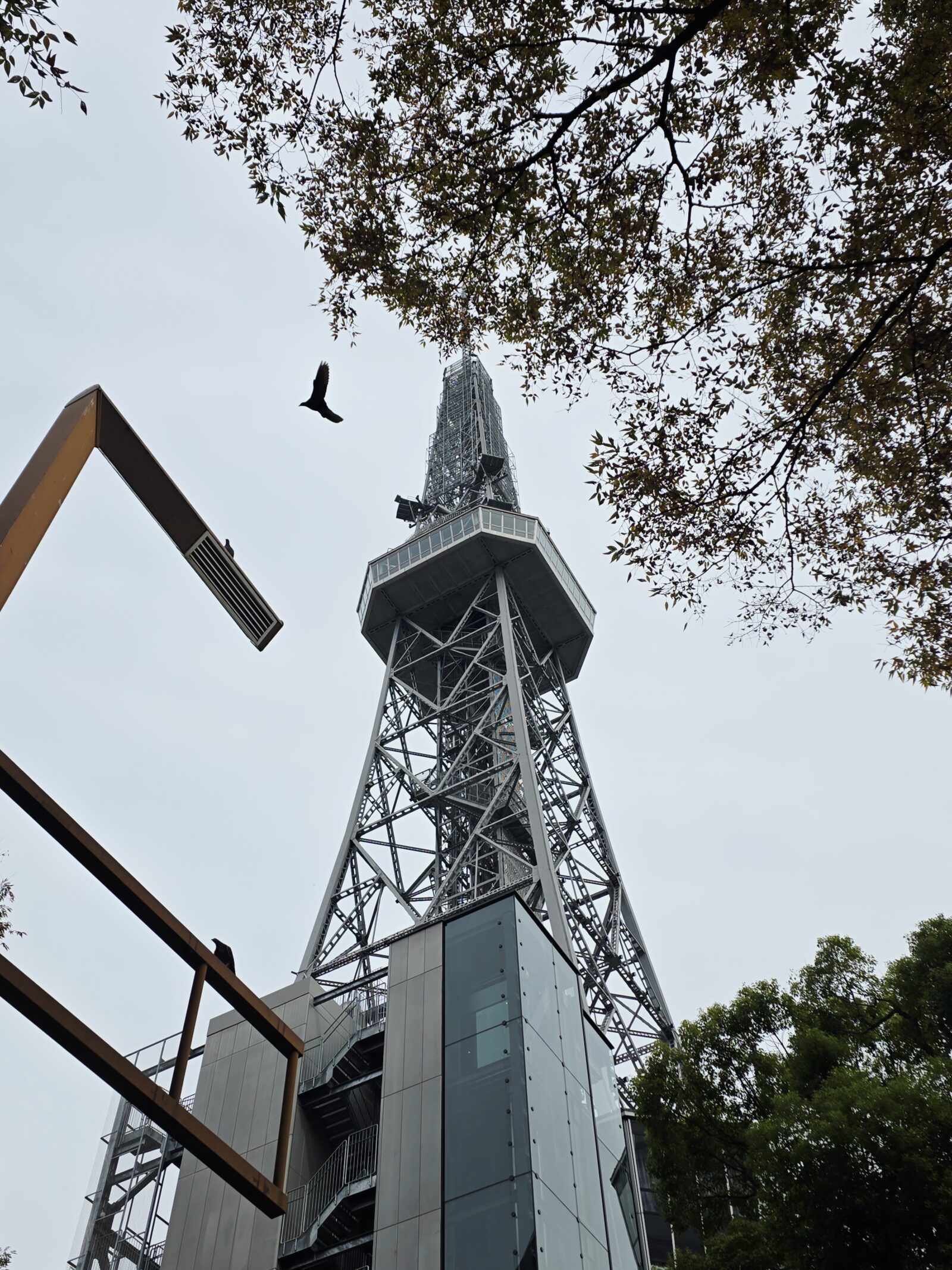 Autumn view of Sakae district in Nagoya with the Chubu Electric MIRAI Tower and golden trees along Hisaya Odori Park